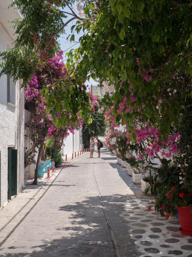 Terra Fos Naxos Studios Naxos City Zewnętrze zdjęcie